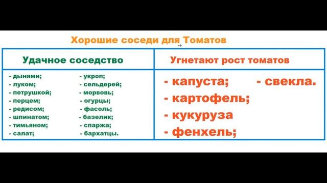 Как соблюдать севооборот. Какие овощи можно сажать рядом смотреть онлайн