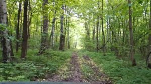 Поездка в лес на Ниве - Кубике