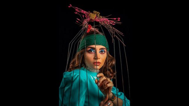 Выпусти птицу [песня на стих Вознесенского] смотреть онлайн