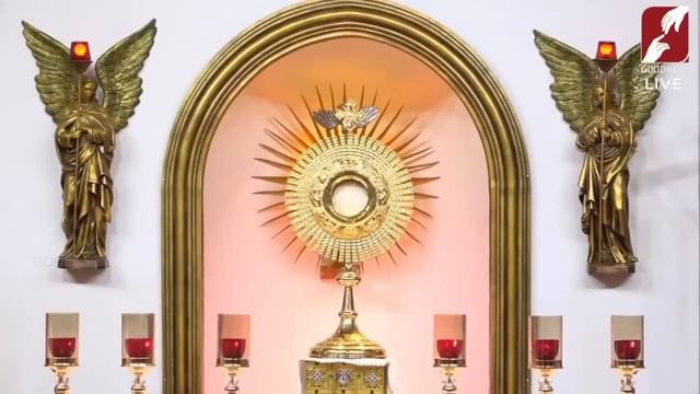 Divine Mercy Healing Adoration | Fr Augustine Vallooran | 04 August | Divine Retreat Centre Colombo смотреть онлайн