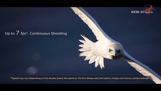 CANON 5D Mark IV Walkthrough(4k video) смотреть онлайн