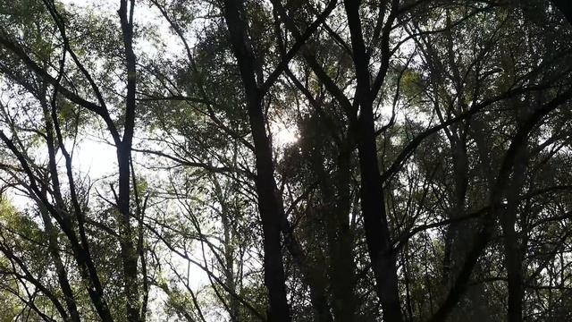 Король и Шут - Танец Злобного Гения на гитаре смотреть онлайн