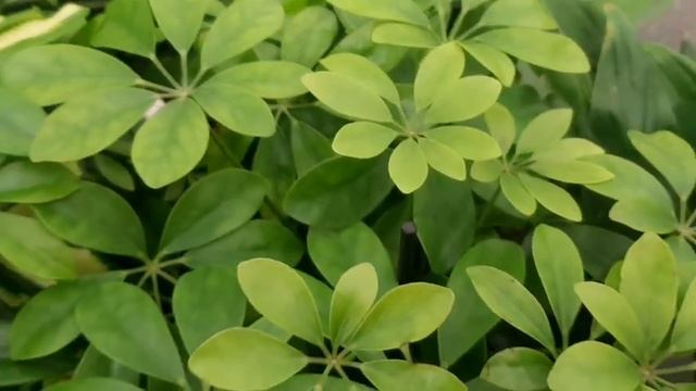 АШАН?ЕСТЬ ИНТЕРЕСНЫЕ НОВИНКИ??☘ смотреть онлайн