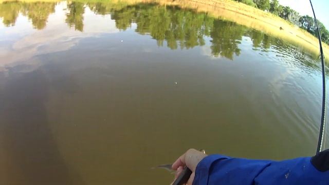 Каждый МЕЧТАЕТ о такой РЫБАЛКЕ! Ловля спиннингом упитанного белого хищника на Волге смотреть онлайн