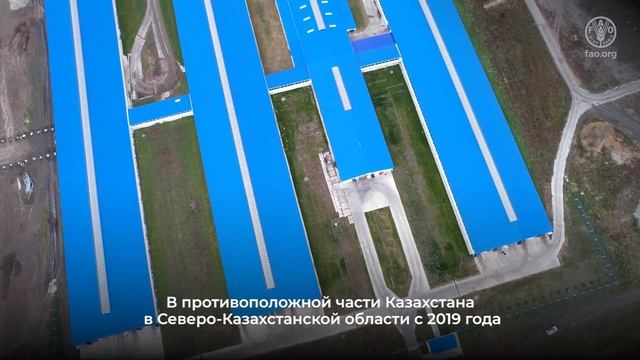 Автоматизированное управление молочной фермой поддерживает здоровье коров и помогает экономить врем