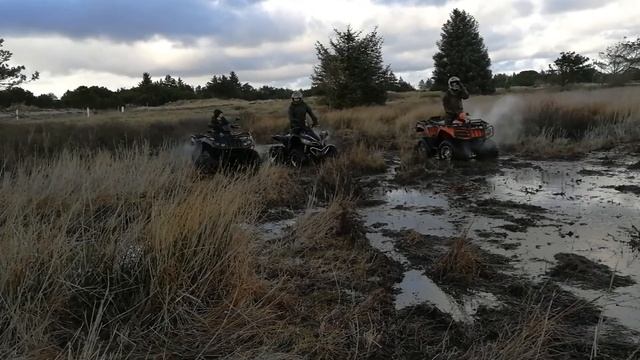 Arctic cat 2006 650cc, Kumho 400cc смотреть онлайн