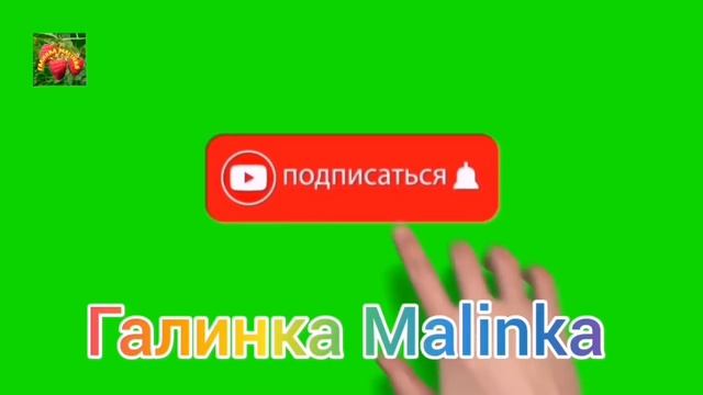 Семья Бровченко /Гуляй рванина до последнего рубля /Страсти-мордасти/Обзор Влогов / смотреть онлайн