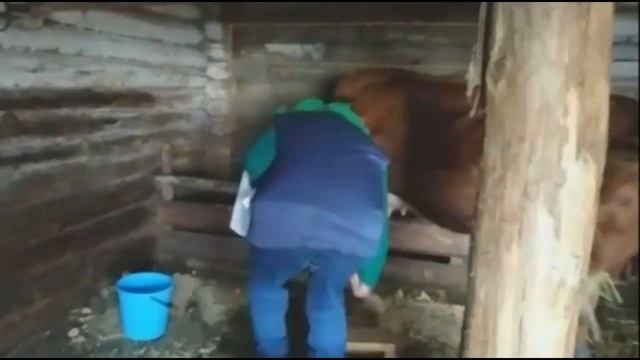 #СИДИМДОМА #STAYATHOME | ЧЕЛЛЕНДЖ ОТ ДЭБЦ РОСТОК | #ЛУЧШЕДОМА смотреть онлайн