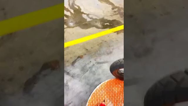 GS 650 BMW смотреть онлайн