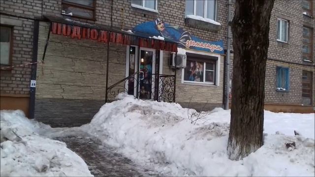 Покупаем попугая. Попытка 1 смотреть онлайн