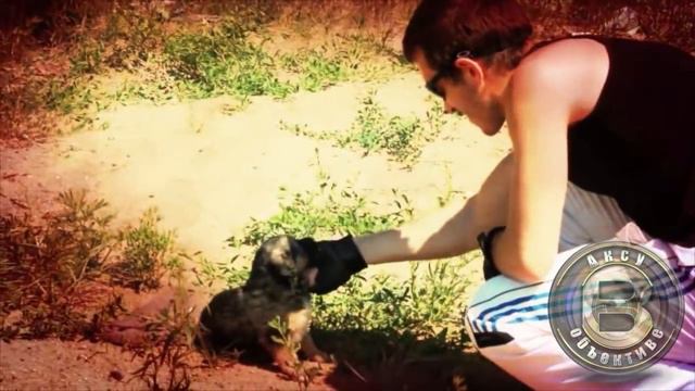 Жизнь города Аксу смотреть онлайн