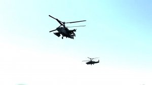 Эскадрилья "Z" представляет.