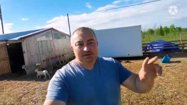 451‼️Косметический ремонт в свинарнике ‼️Красим и штукатурим стены ‼️ смотреть онлайн