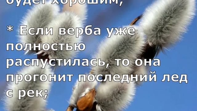 Вербное Воскресенье ?? Приметы и Обычаи на Вербное Воскресенье.Что делать НАДО, что НЕЛЬЗЯ Делать смотреть онлайн