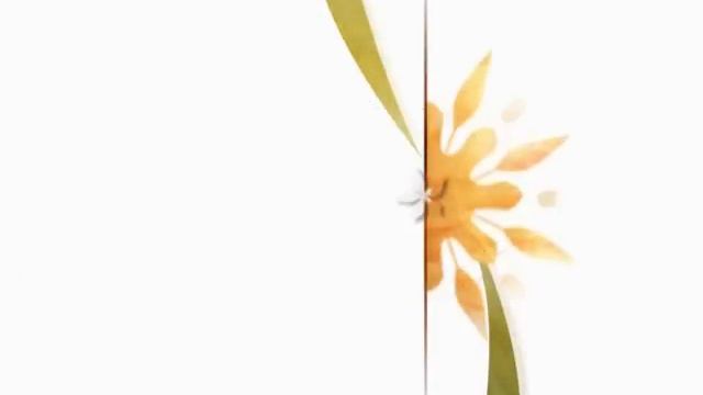 Au vs Tui Wedding Presentation on 21 Jan 2012 смотреть онлайн