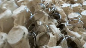 Матрас ОРМАТЕК.  Гибель и вскрытие.