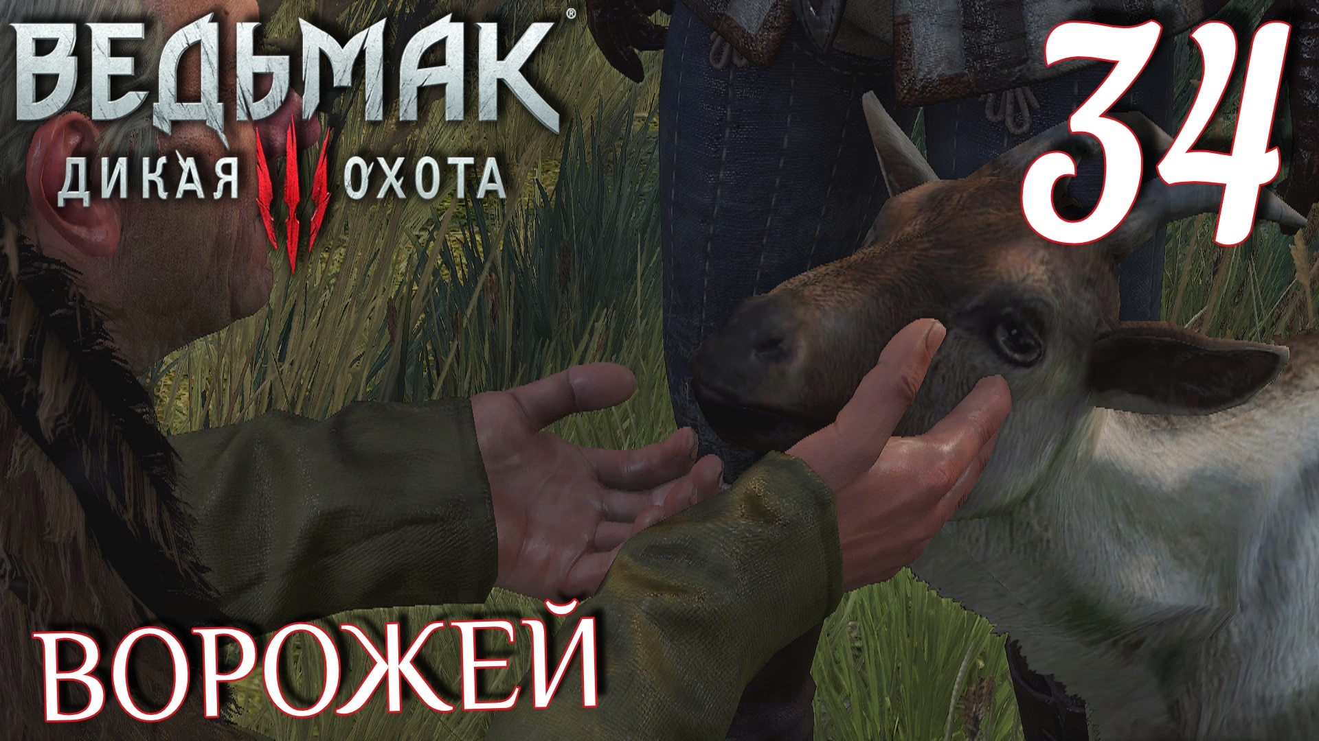 Ведьмак 3: Дикая охота. Прохождение ─ Часть 34: Ворожей смотреть онлайн