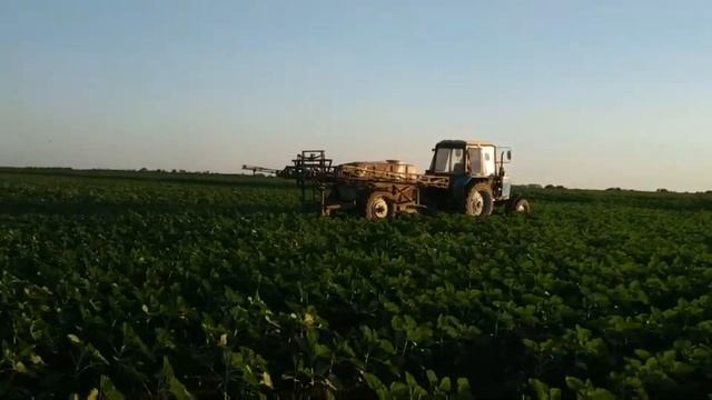 гелиантекс применение, подсолнух посев без ацитохлора смотреть онлайн