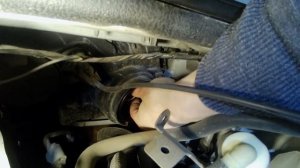 Дастер - плохой ближний свет. Не устраивает? Замена ламп ближнего света на Duster. PHILIPS H7 White