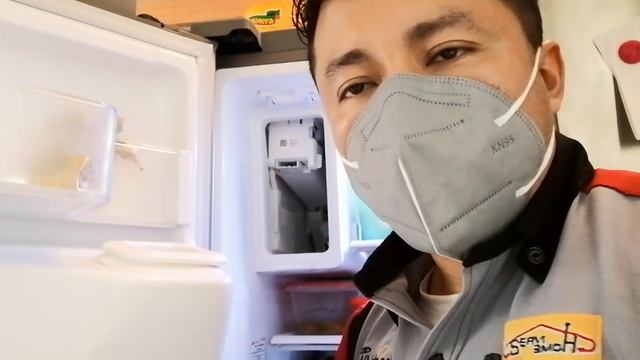 Refrigerador No Produce Hielos Samsung RF263BEAESR