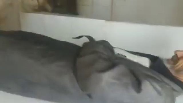Бобои рачабали евони смотреть онлайн