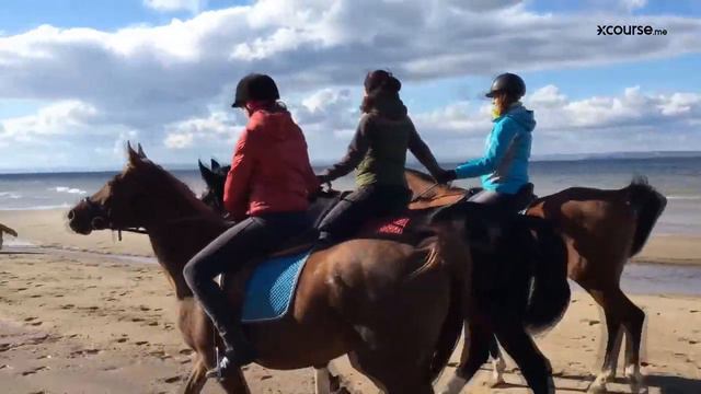Прогулка на лошадях к Волге | Тольятти смотреть онлайн