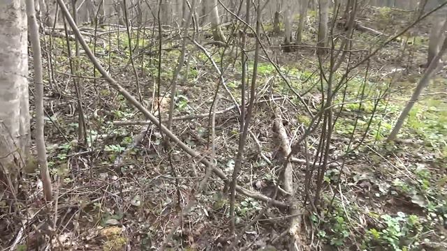 Поиск заброшеных хуторов в доль реки. смотреть онлайн