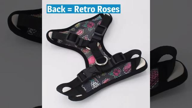 Custom Frenchie Reversible Harnesses! смотреть онлайн