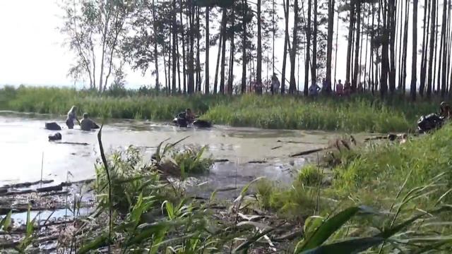 болото смотреть онлайн