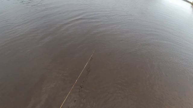 Первый Лёд Первый Снег! Рыбалка на Крупного Налима! Налим Вышел Из Ям! Проверка Ночных Тычек. смотреть онлайн
