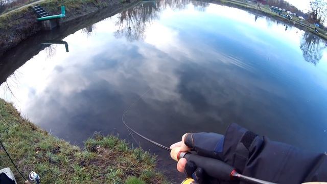Ловля прудовой форели/День тестов, спиннинг и приманки/Новый пруд!