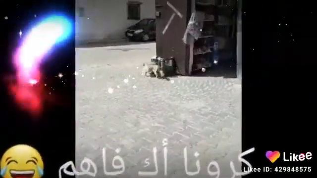 كورونا في وحد الدشرا смотреть онлайн