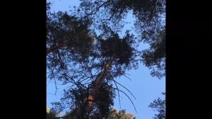 Санаторий «Ангара»