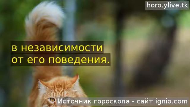 Лев. ❤ 06 нояб. 2019: Любовный гороскоп на сегодня. смотреть онлайн