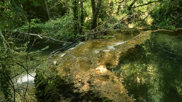 Soothing Soft White Noise Sound at the Forest for Sleeping смотреть онлайн