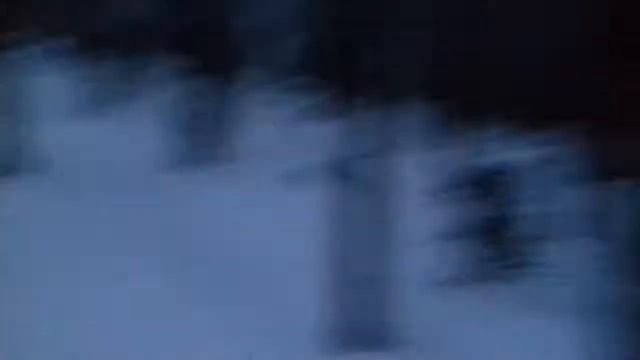 Валю сухое дерево в лесу. смотреть онлайн