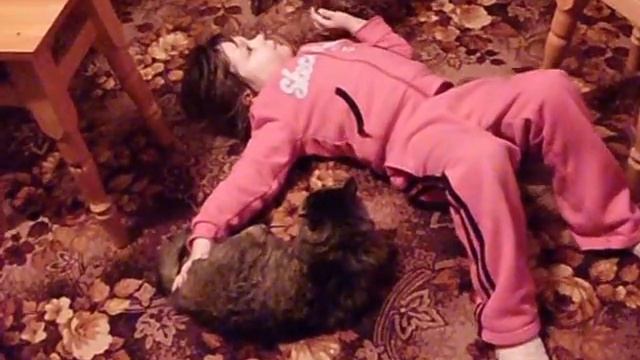 Замучила кота смотреть онлайн