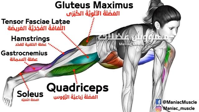 Stretch Full Body  | Mobility & Flexibility Exercises | 10 Min