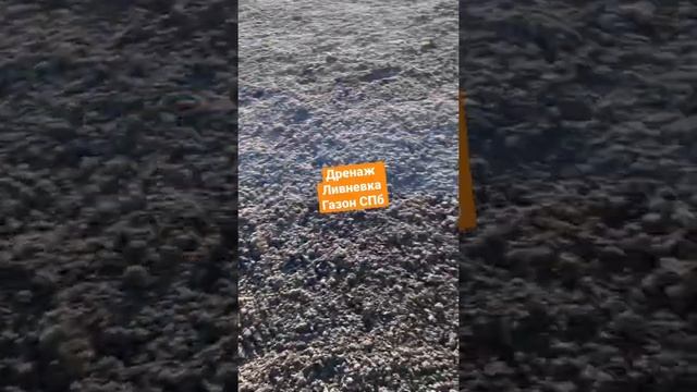 Идеальный газон на участке / дренаж участка / дача #дача #строительство #дренаж #дачныйвлог смотреть онлайн