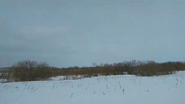 Буран 4тд по полю смотреть онлайн