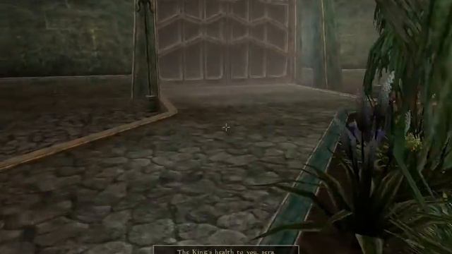 Morrowind Disloyalty Among The Guards (Part 5 Tribunal Main Quest)