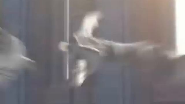 LINEAGE2-CHAOTIC CHRONICLE ELVEN FIGHTING,BY SIEQ&TIHIRO смотреть онлайн