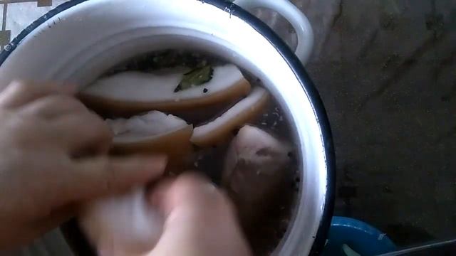 Засолка сала от свинки Дюрок смотреть онлайн