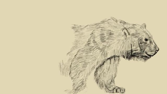 Digital painting polar bear sketch смотреть онлайн