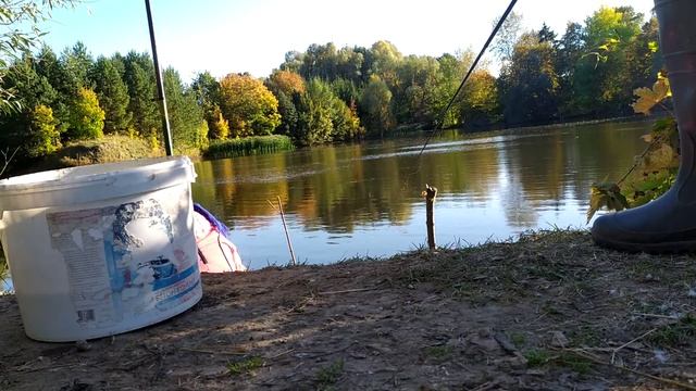 Жена поймала больше всех рыбы. Рыбалка на карася в Чувашиина прудах.