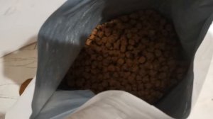 правильное питание немецкой овчарки(советую посмотреть)