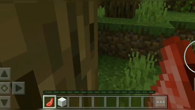 Это история как я в первый раз играю с Xbox в Minecraft на телефоне. смотреть онлайн