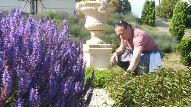 Это должен попробовать каждый. Черноморская Барабулька смотреть онлайн