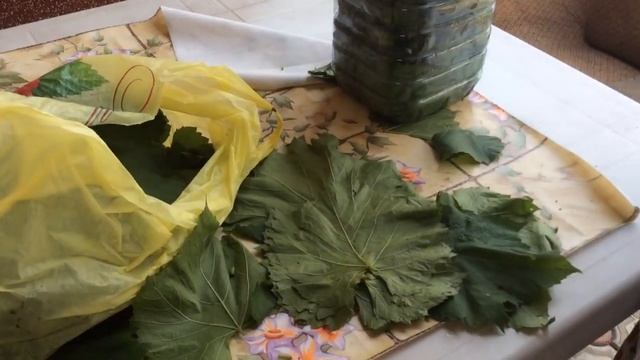 Заготовка листьев для ДОЛМЫ смотреть онлайн