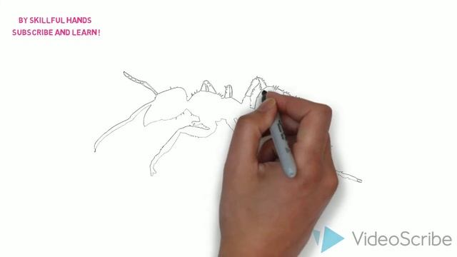 How to Draw an Ant / Как нарисовать муравья смотреть онлайн
